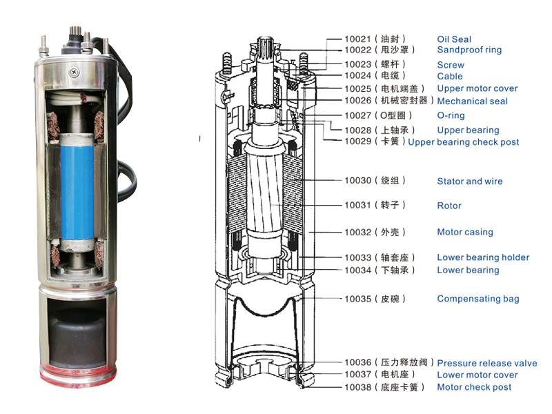 水泵电机剖面